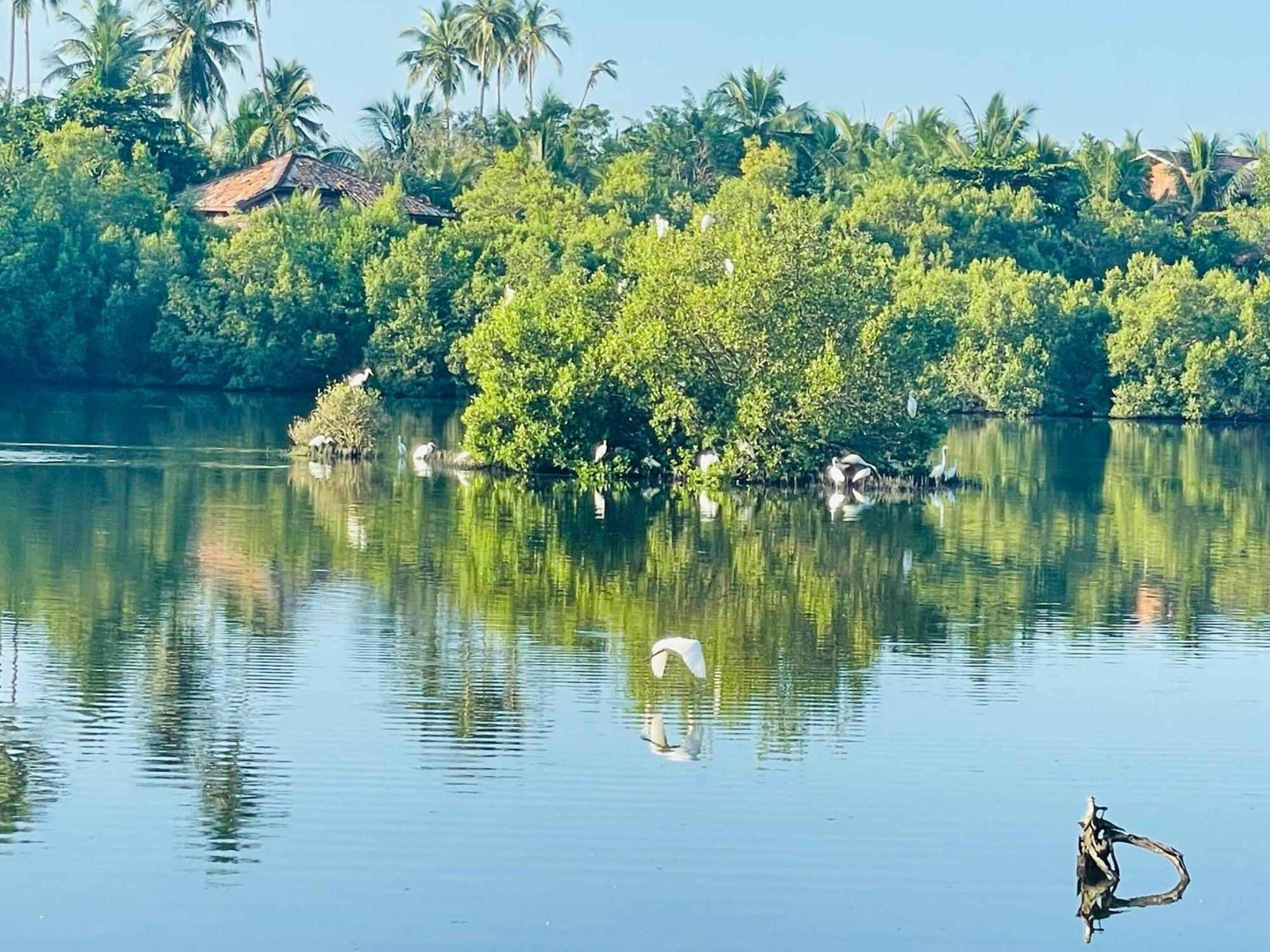 Eagles Nest Cabanas Tangalle Kültér fotó